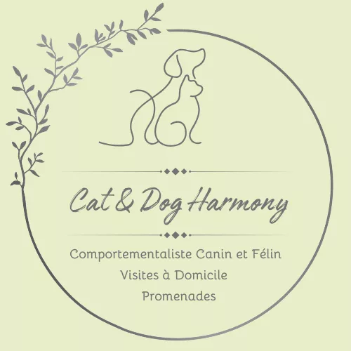Cat & Dog Harmony
