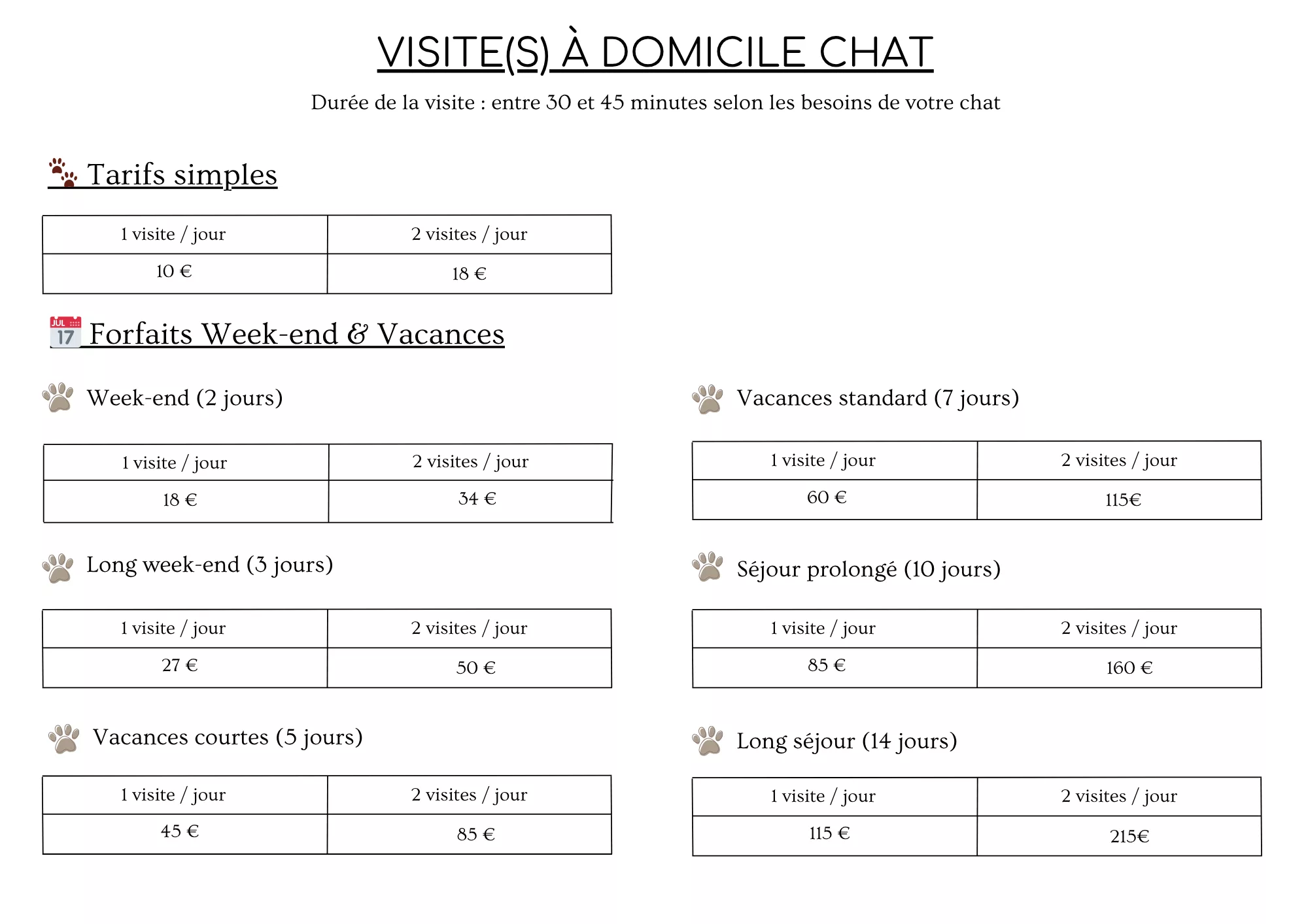 Visite chat 1